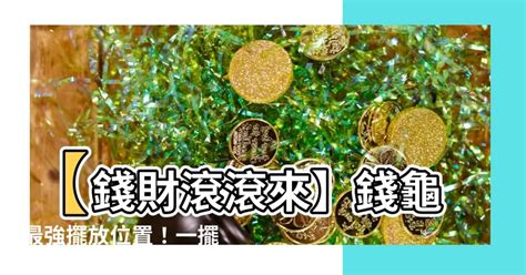 金錢龜擺放位置